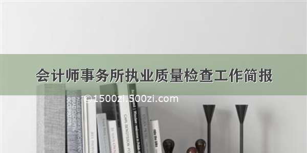 会计师事务所执业质量检查工作简报