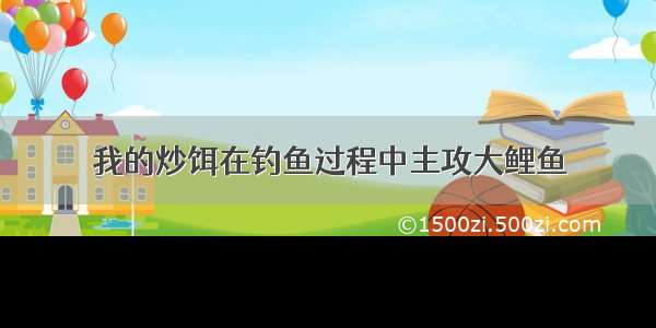 我的炒饵在钓鱼过程中主攻大鲤鱼