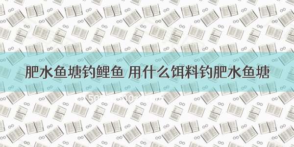 肥水鱼塘钓鲤鱼 用什么饵料钓肥水鱼塘