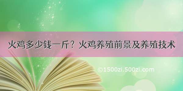 火鸡多少钱一斤？火鸡养殖前景及养殖技术