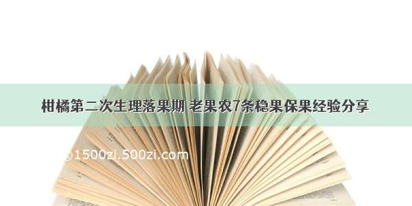 柑橘第二次生理落果期 老果农7条稳果保果经验分享