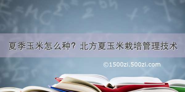 夏季玉米怎么种？北方夏玉米栽培管理技术