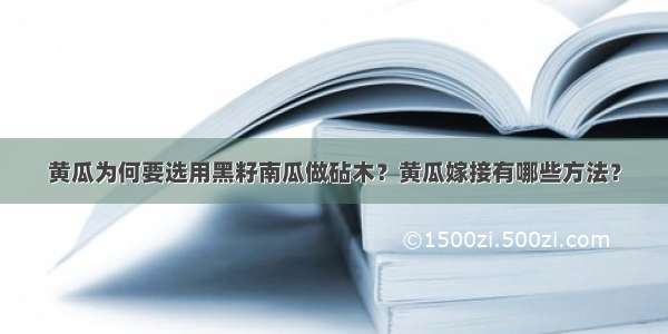 黄瓜为何要选用黑籽南瓜做砧木？黄瓜嫁接有哪些方法？