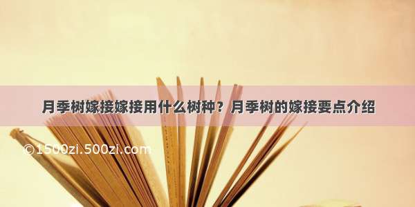 月季树嫁接嫁接用什么树种？月季树的嫁接要点介绍