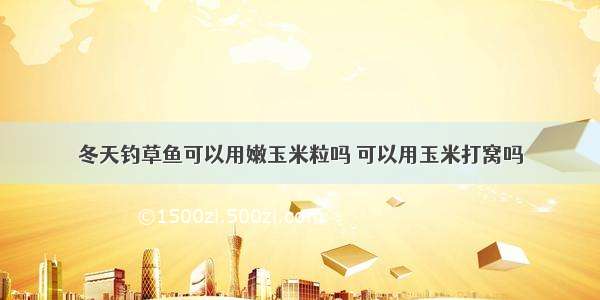 冬天钓草鱼可以用嫩玉米粒吗 可以用玉米打窝吗