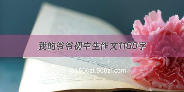 我的爷爷初中生作文1100字