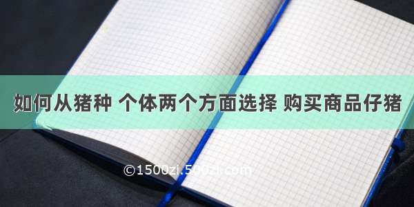 如何从猪种 个体两个方面选择 购买商品仔猪