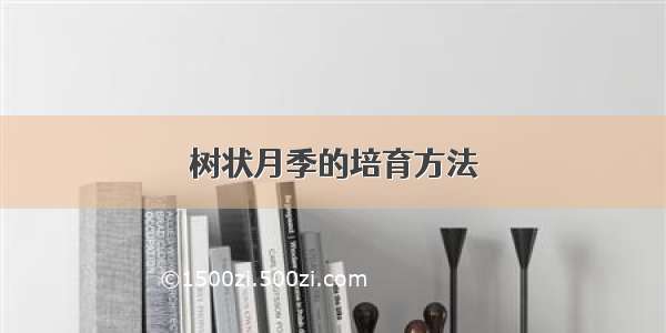 树状月季的培育方法