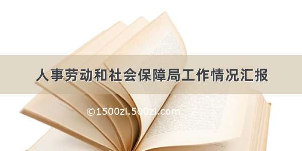 人事劳动和社会保障局工作情况汇报