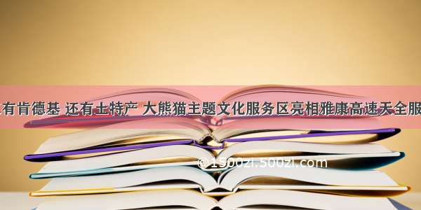 不仅有肯德基 还有土特产 大熊猫主题文化服务区亮相雅康高速天全服务区