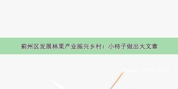 蓟州区发展林果产业振兴乡村：小柿子做出大文章