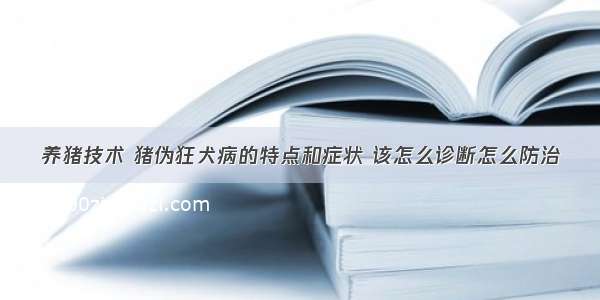 养猪技术 猪伪狂犬病的特点和症状 该怎么诊断怎么防治