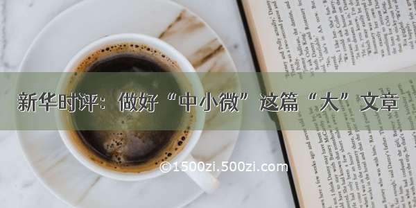 新华时评：做好“中小微”这篇“大”文章