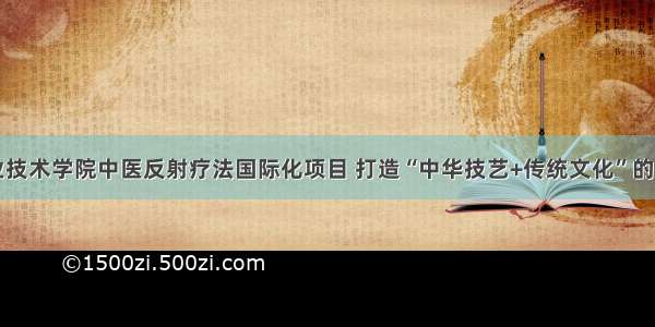 宁夏职业技术学院中医反射疗法国际化项目 打造“中华技艺+传统文化”的宁职方案