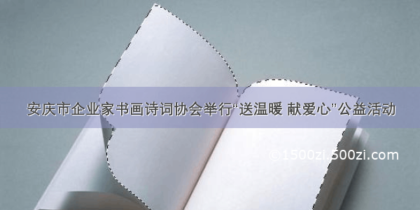 安庆市企业家书画诗词协会举行“送温暖 献爱心”公益活动