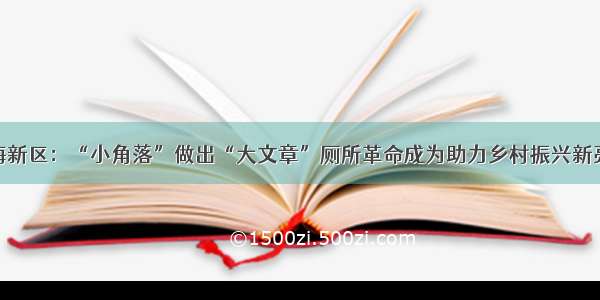 滨海新区：“小角落”做出“大文章”厕所革命成为助力乡村振兴新亮点