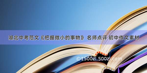 湖北中考范文《把握微小的事物》 名师点评 初中作文素材