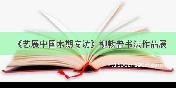 《艺展中国本期专访》柳敦普书法作品展