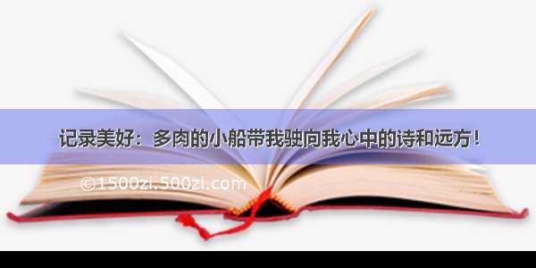 记录美好：多肉的小船带我驶向我心中的诗和远方！