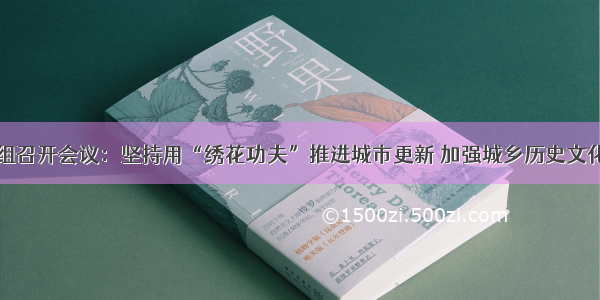 市政府党组召开会议：坚持用“绣花功夫”推进城市更新 加强城乡历史文化保护传承