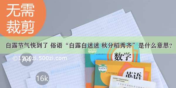 白露节气快到了 俗语“白露白迷迷 秋分稻秀齐”是什么意思？