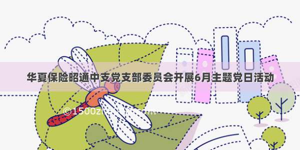 华夏保险昭通中支党支部委员会开展6月主题党日活动