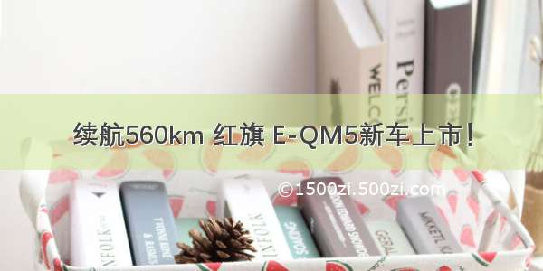 续航560km 红旗 E-QM5新车上市！