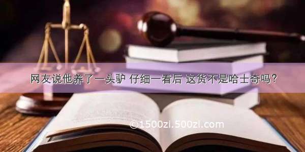 网友说他养了一头驴 仔细一看后 这货不是哈士奇吗？