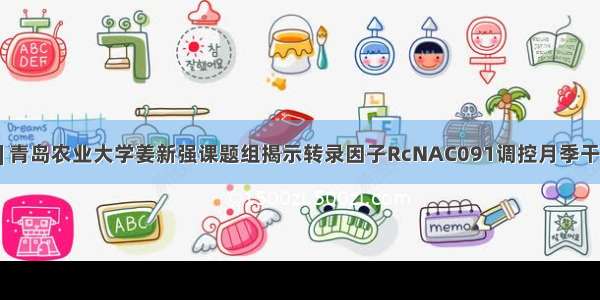 Plant Physiol | 青岛农业大学姜新强课题组揭示转录因子RcNAC091调控月季干旱抗性的新机制