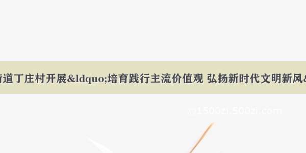 济宁高新区接庄街道丁庄村开展“培育践行主流价值观 弘扬新时代文明新风” 主题宣讲