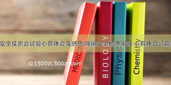 安全反思会试验心得体会及感悟 现场安全检查实践 心得体会(7篇)