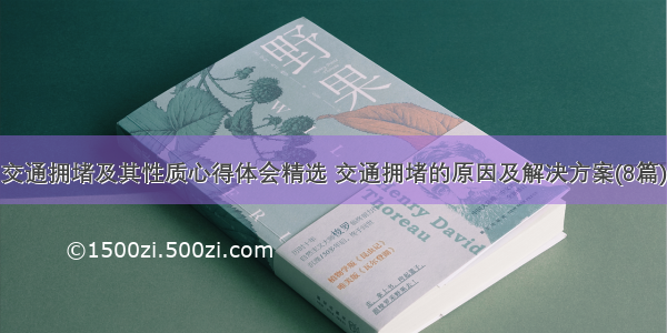 交通拥堵及其性质心得体会精选 交通拥堵的原因及解决方案(8篇)