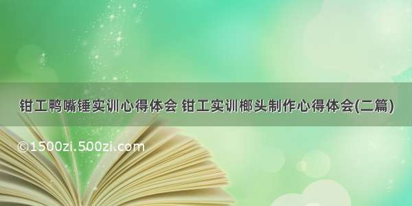 钳工鸭嘴锤实训心得体会 钳工实训榔头制作心得体会(二篇)