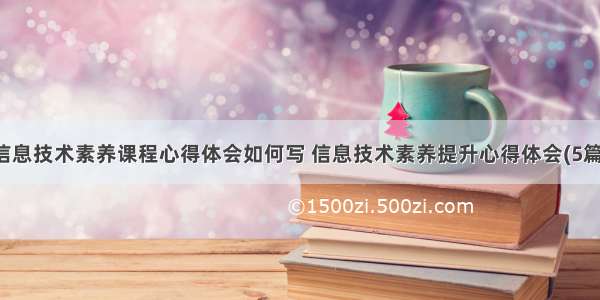 信息技术素养课程心得体会如何写 信息技术素养提升心得体会(5篇)