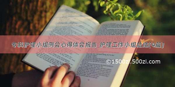 专科护理小组例会心得体会报告 护理工作小组总结(4篇)