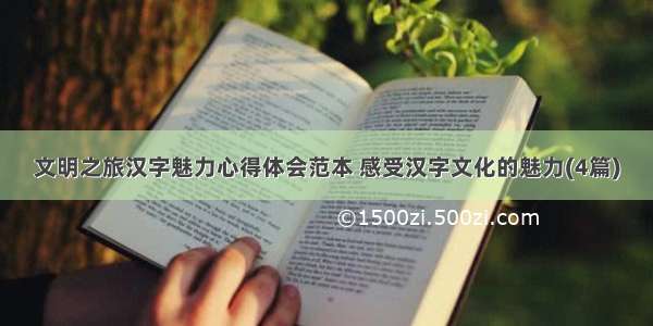 文明之旅汉字魅力心得体会范本 感受汉字文化的魅力(4篇)