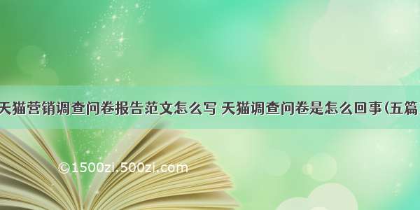 天猫营销调查问卷报告范文怎么写 天猫调查问卷是怎么回事(五篇)