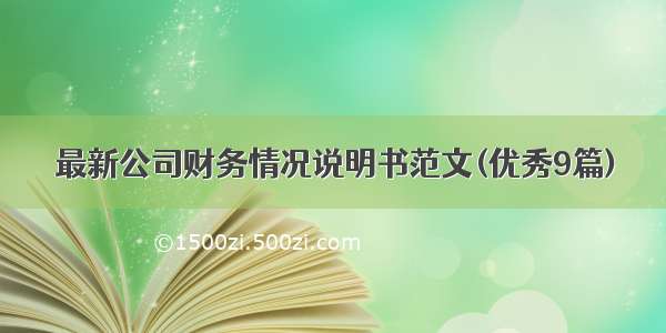 最新公司财务情况说明书范文(优秀9篇)