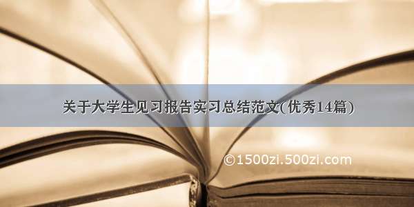 关于大学生见习报告实习总结范文(优秀14篇)