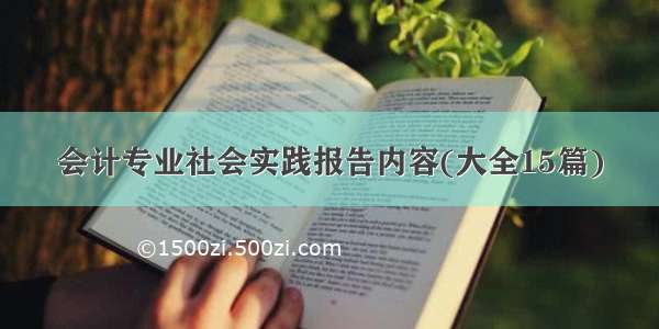 会计专业社会实践报告内容(大全15篇)