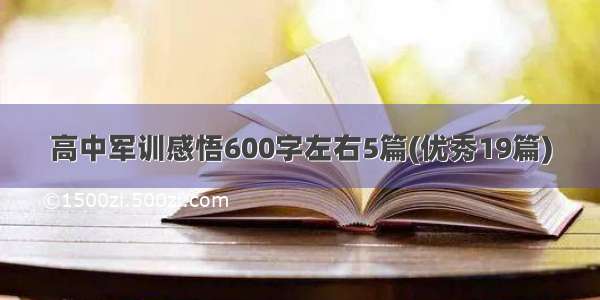 高中军训感悟600字左右5篇(优秀19篇)