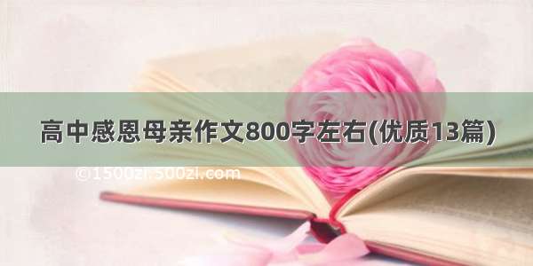 高中感恩母亲作文800字左右(优质13篇)