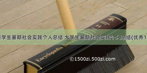 最新学生暑期社会实践个人总结 大学生暑期社会实践个人总结(优秀15篇)