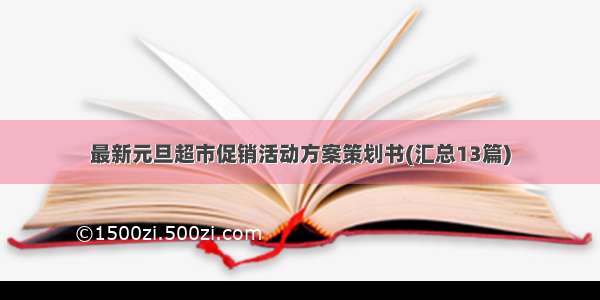 最新元旦超市促销活动方案策划书(汇总13篇)