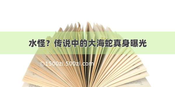 水怪？传说中的大海蛇真身曝光