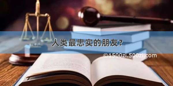 人类最忠实的朋友？