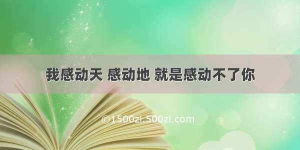 我感动天 感动地 就是感动不了你