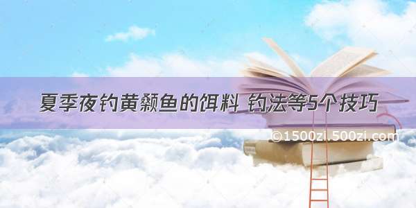 夏季夜钓黄颡鱼的饵料 钓法等5个技巧