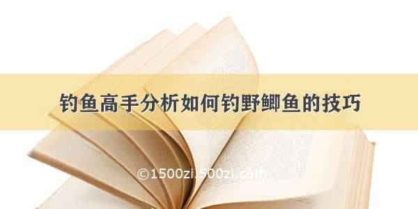 钓鱼高手分析如何钓野鲫鱼的技巧