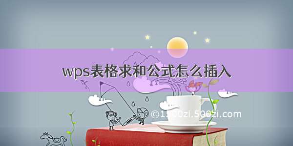 wps表格求和公式怎么插入